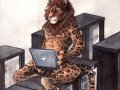 LaptopLion.jpg